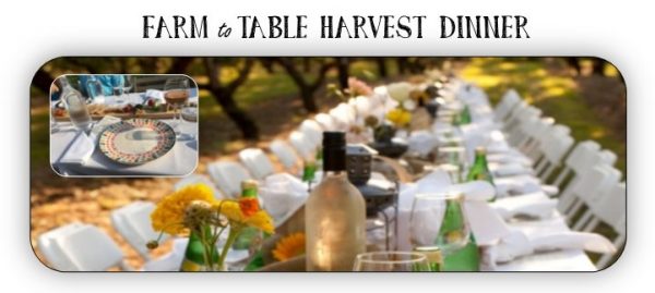 Farm to Table Photo