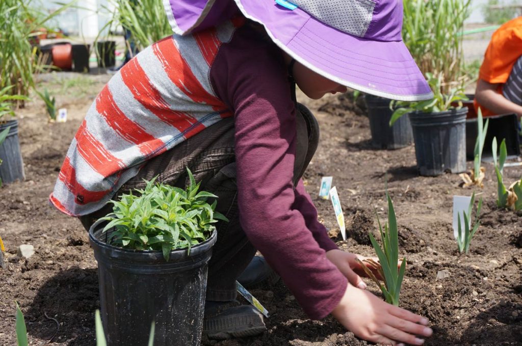 our work: land bank programs